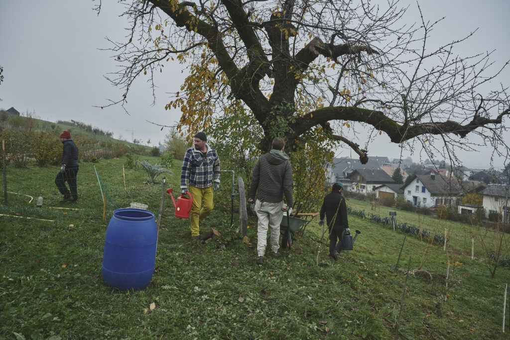Freiwillige auf dem Hof