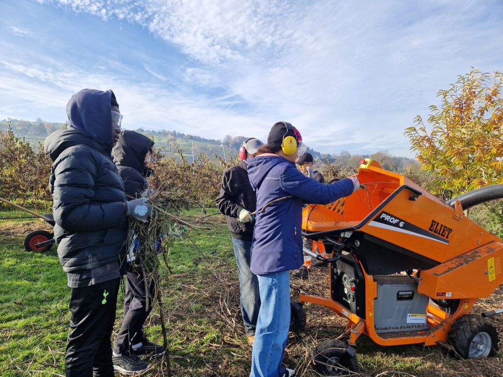 Schulklasse bei der Heckenpflege