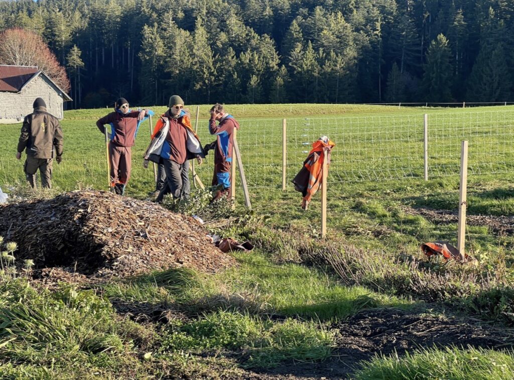 Zivildienstleistende im Heckenpflanz-Einsatz